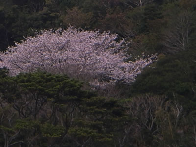059 059