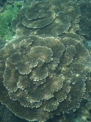 7313 7313