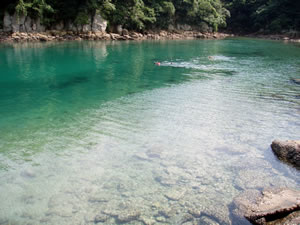 082090.jpg 082090.jpg