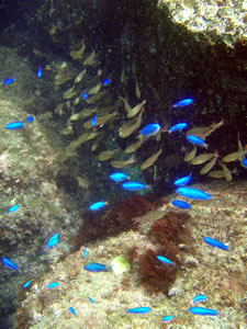 82167.jpg 82167.jpg