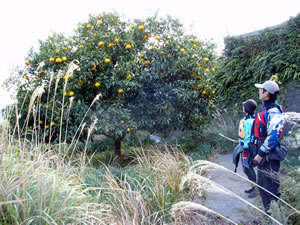 12244.jpg 12244.jpg