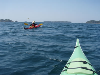 04302.jpg 04302.jpg