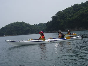 06081.jpg 06081.jpg