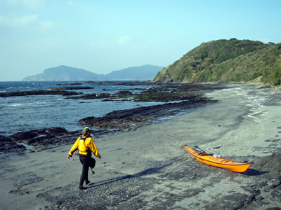 1229.jpg 1229.jpg