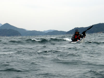 1155.jpg 1155.jpg
