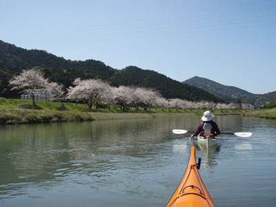 一町田川から羊角湾へ　花見ツーリング