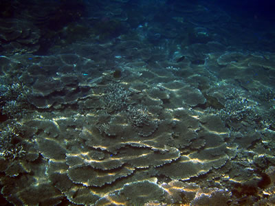 4283.jpg 4283.jpg