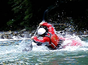 06291.jpg 06291.jpg