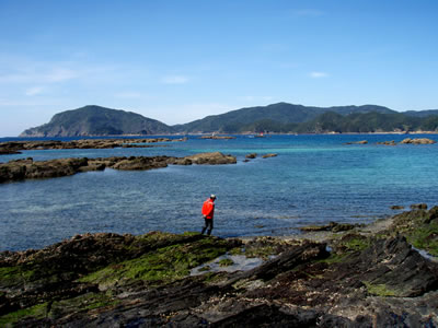 ３月のもぐし海　タカラガイの打ち上げシーズン