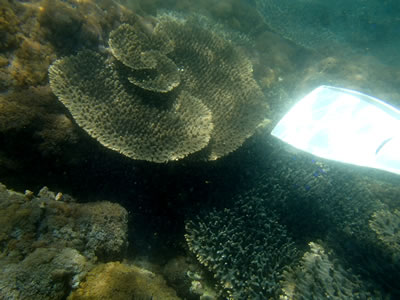 919.jpg 919.jpg