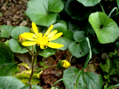 10194.jpg 10194.jpg