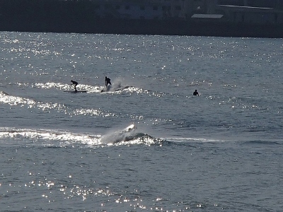 01021.jpg 01021.jpg