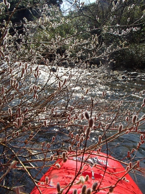 02201.jpg 02201.jpg