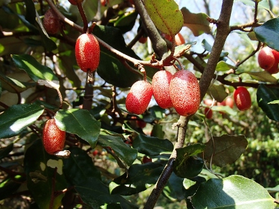 3236.jpg 3236.jpg
