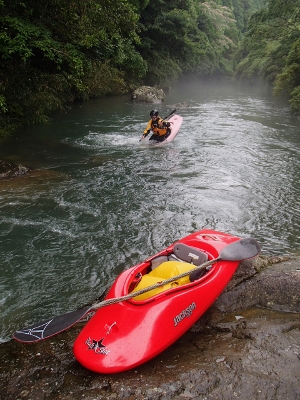 07067.jpg 07067.jpg
