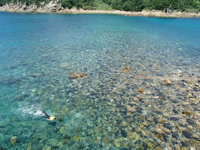 07209.jpg 07209.jpg
