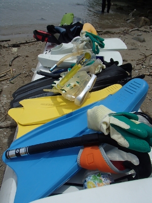 07187.jpg 07187.jpg