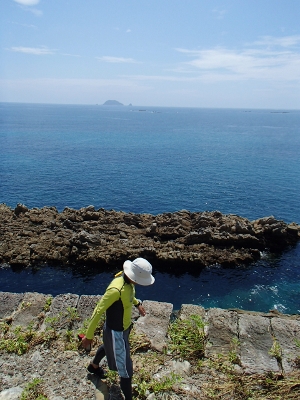 07196.jpg 07196.jpg