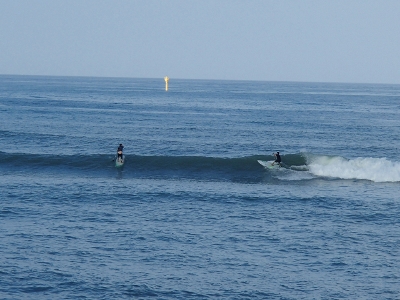 07251.jpg 07251.jpg