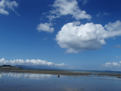 07261.jpg 07261.jpg