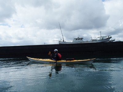 07262.jpg 07262.jpg