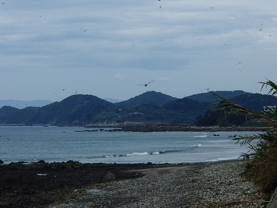 0808.jpg 0808.jpg