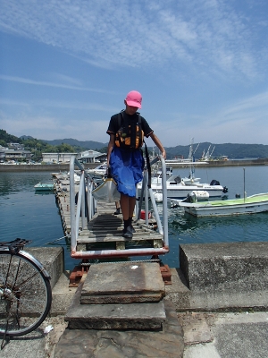 8136.jpg 8136.jpg