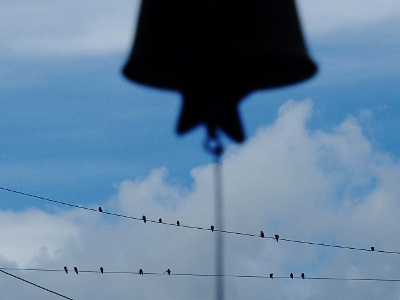 0819.jpg 0819.jpg