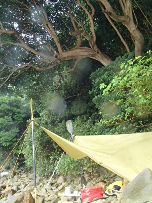 08299.jpg 08299.jpg
