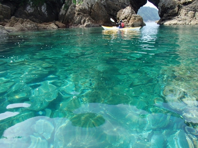 09021.jpg 09021.jpg