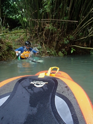 09061.jpg 09061.jpg