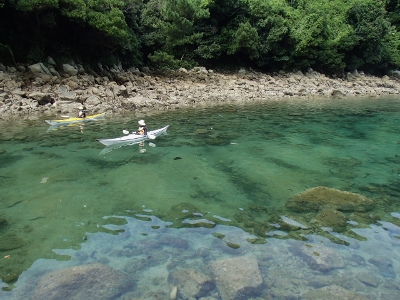 09081.jpg 09081.jpg