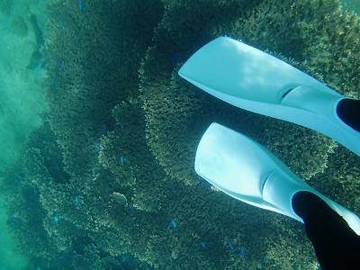 092868.jpg 092868.jpg