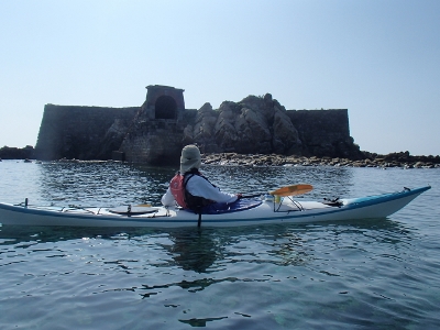 09297.jpg 09297.jpg