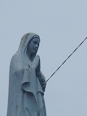100142.jpg 100142.jpg