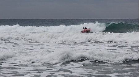 jacksonkayak.2016 rockstar.jpg jacksonkayak.2016 rockstar.jpg