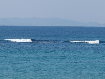 01235.jpg 01235.jpg