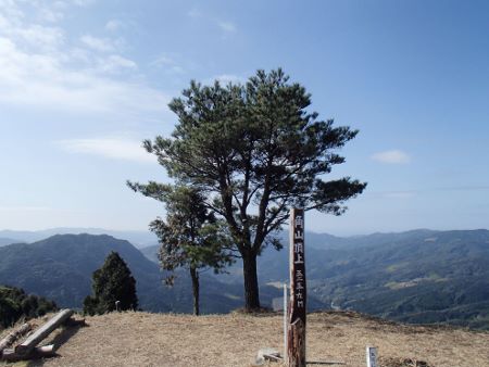 03174.jpg 03174.jpg
