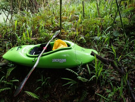 jacksonkayak.2010 star4101.jpg