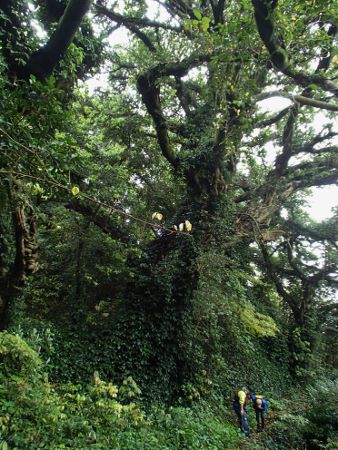 熊本 天草 シーカヤック ツアースクール5040.jpg 熊本 天草 シーカヤック ツアースクール5040.jpg