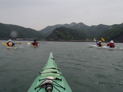 06137.jpg 06137.jpg