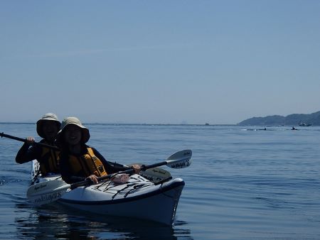 08081.jpg 08081.jpg