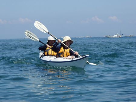 08082.jpg 08082.jpg