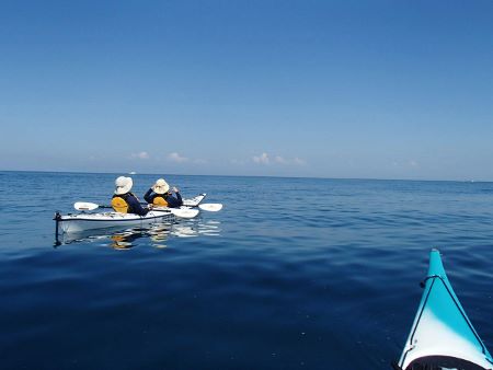 08085.jpg 08085.jpg