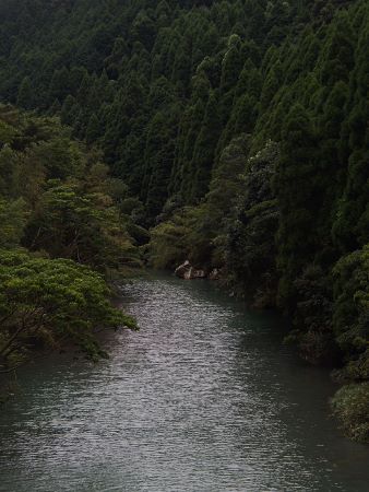 08280.jpg 08280.jpg