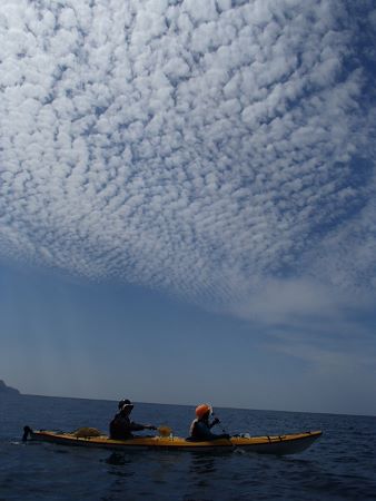 09203.jpg 09203.jpg