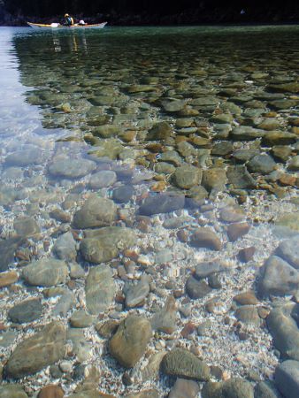09217.jpg 09217.jpg