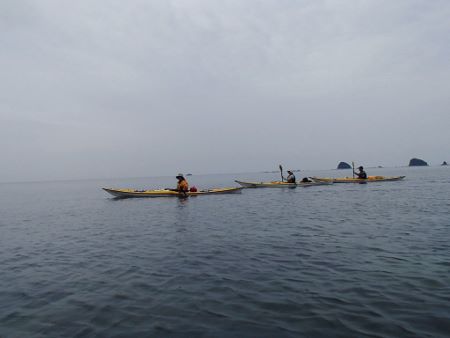 11011.jpg 11011.jpg