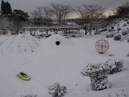 01244.jpg 01244.jpg