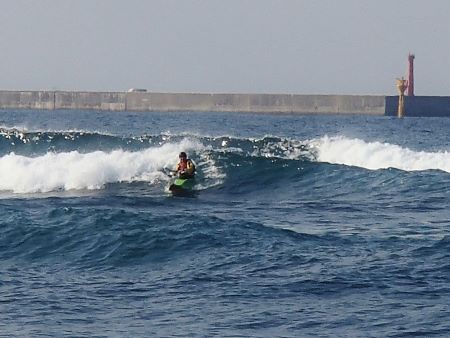 20703.jpg 20703.jpg
